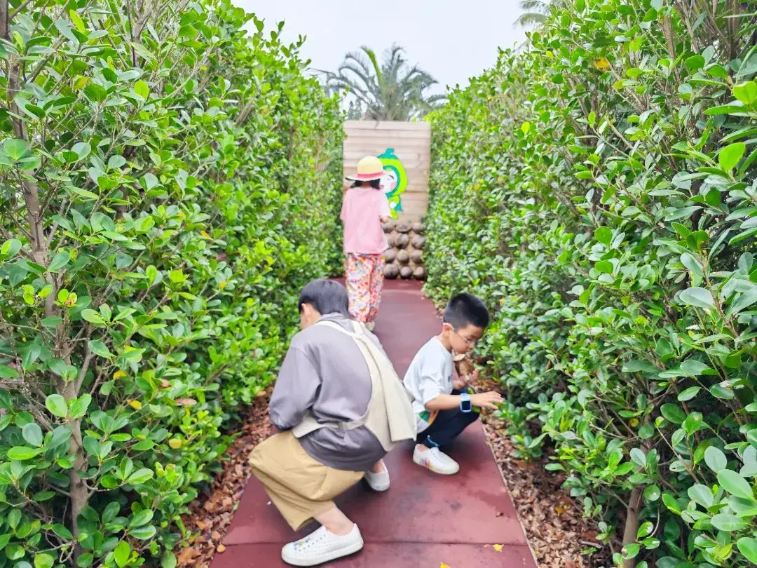 单机枪战大型手机游戏大全_大型单机枪战游戏手机_单机枪战大型手机游戏推荐