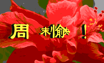 反应正常打没手机游戏有问题吗_打游戏手机没有反应正常吗_没事打游戏
