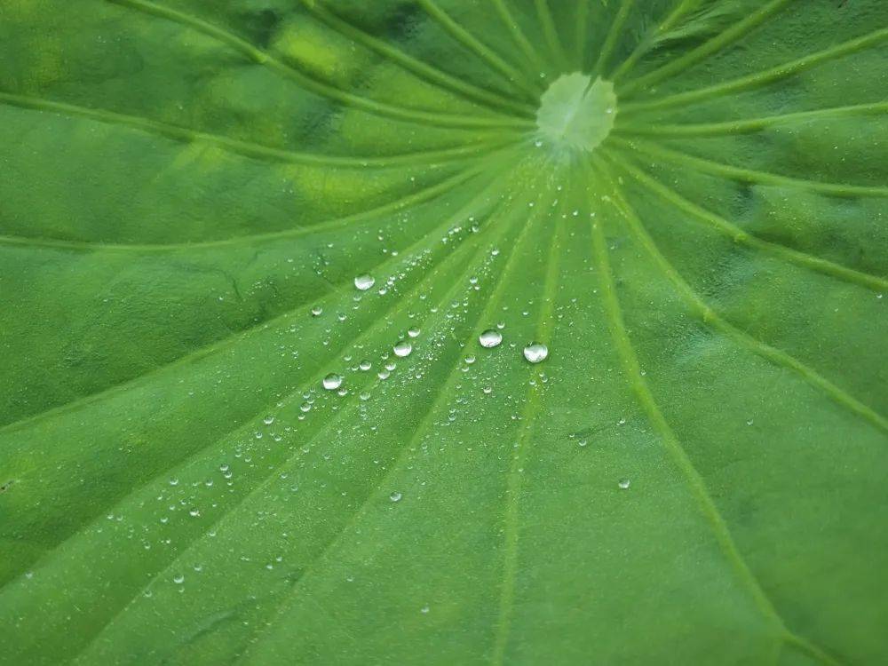 寺门通_寺门通_寺门通