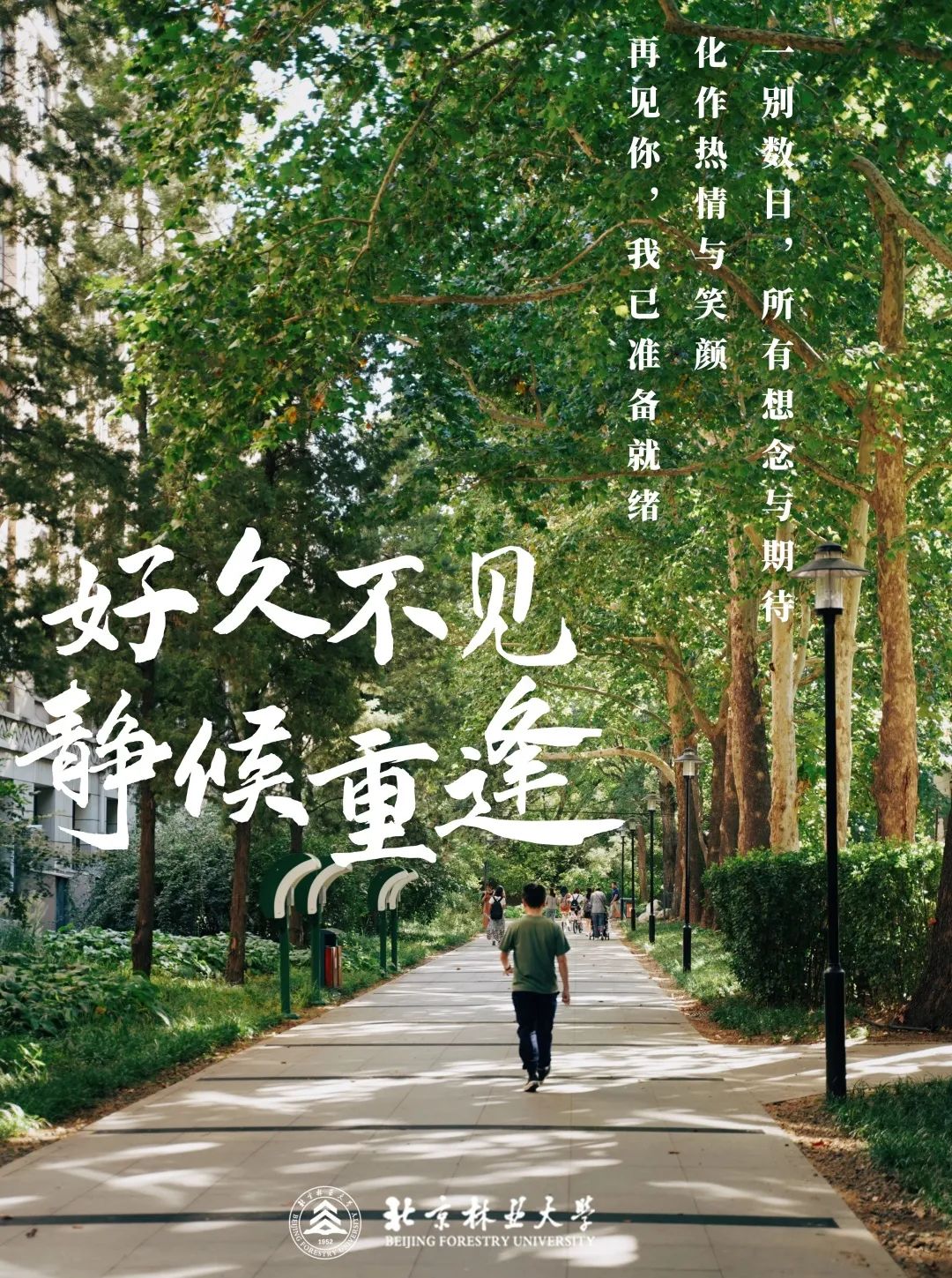 饭笥阵容搭配_饭笥觉醒了是不是废了_饭笥