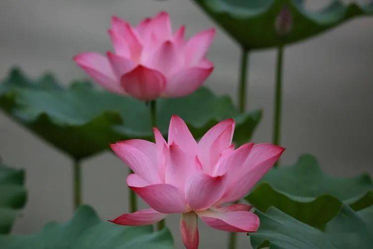 天河云商汇租房_云天河_天河云计算