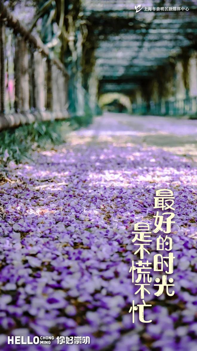 初中女生爱玩的手机游戏_初中生都玩手机游戏吗女生_初中女生玩手机的危害