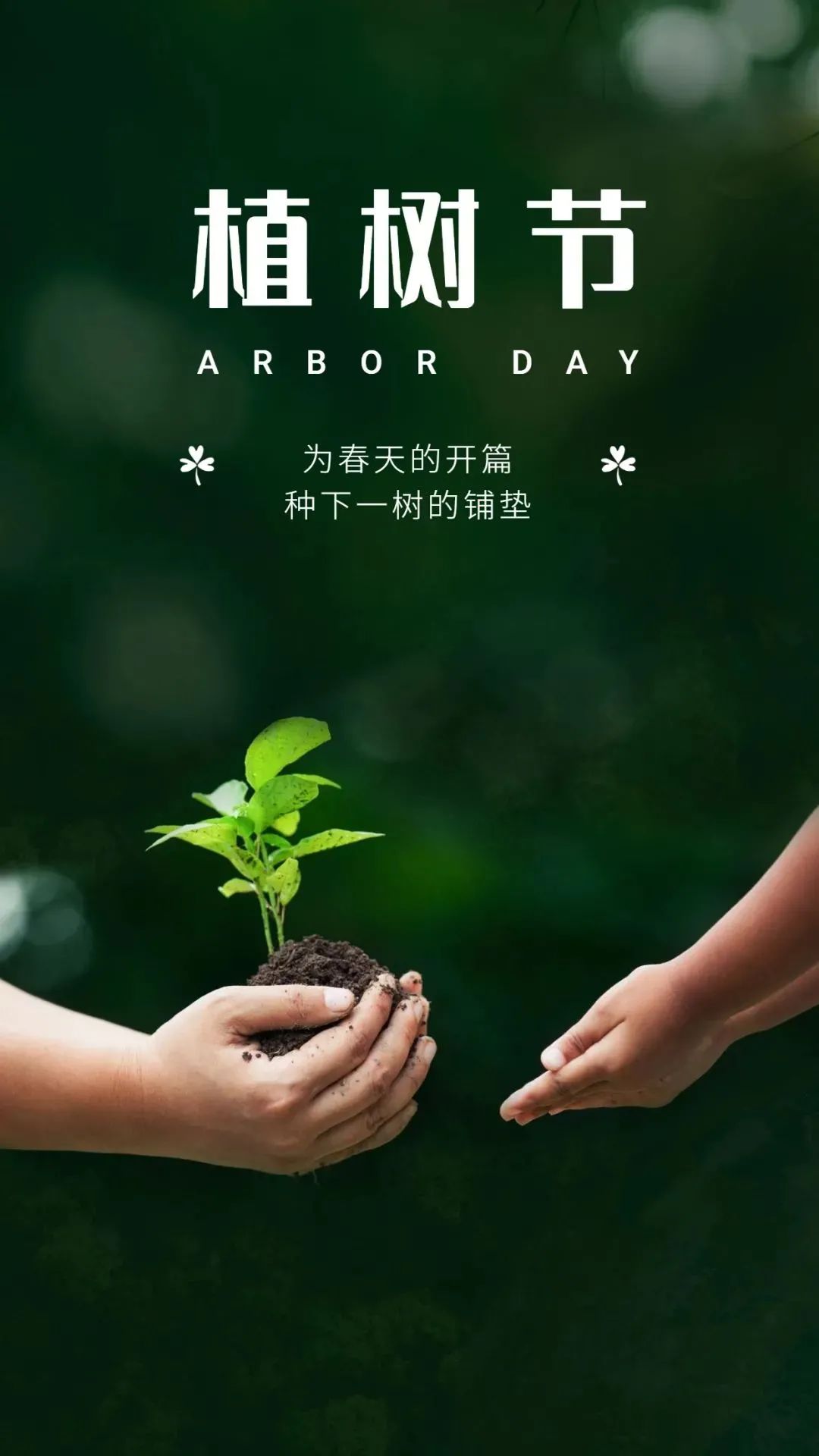 植树节年级活动_2022年和2023年大牛市_2023年植树节