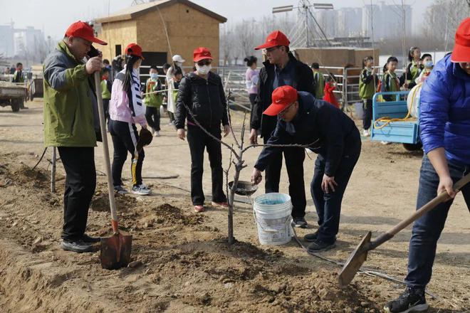 植树节年级活动_2022年和2023年大牛市_2023年植树节