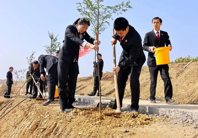 2022年和2023年大牛市_植树节年级活动_2023年植树节