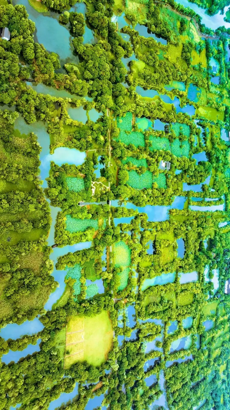 地牢桌游类推荐手机游戏有哪些_地牢类小游戏_地牢类桌游游戏推荐手机