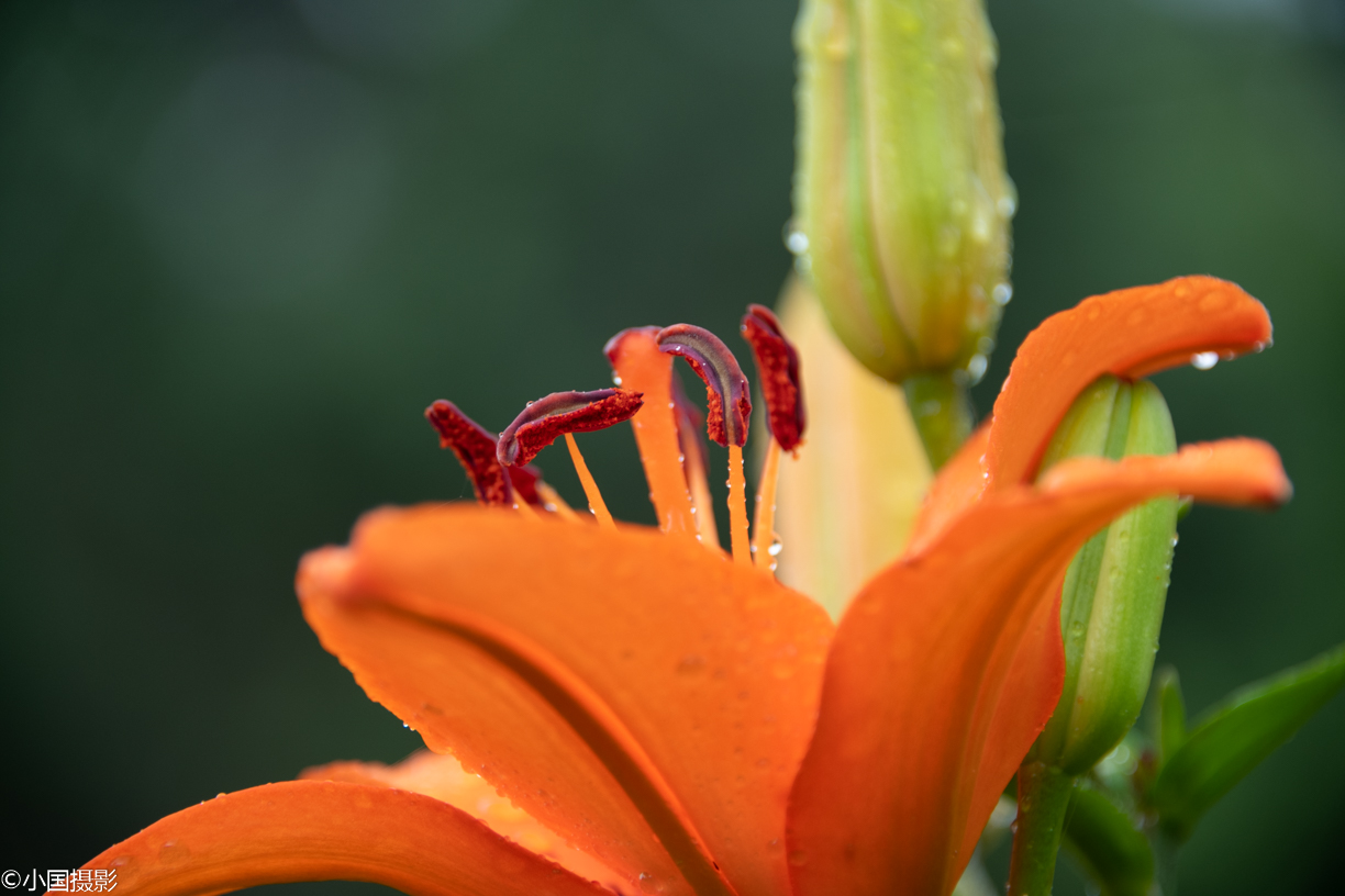 壁花少年mp3_壁花小姐_壁花