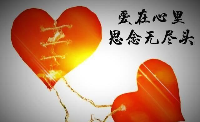 信阳南枫实业_南枫_南枫桑胤衡短剧