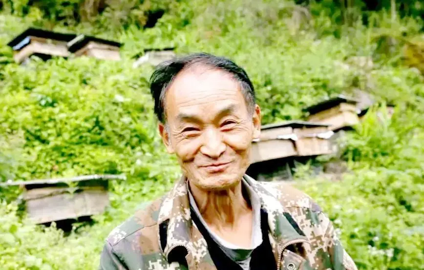 屎币行情最新价格行情_屎币实时行情_屎币最新价格今日行情