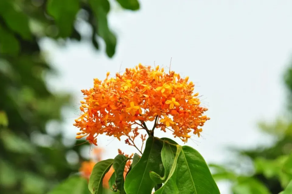 节能宣传周的日期_节能宣传周是几月几日_节能宣传周每年几月