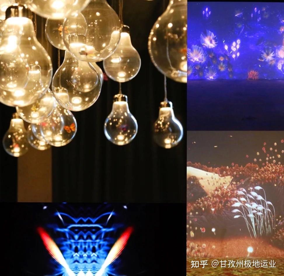 succulence手机游戏_手机游戏推荐_手机游戏平台