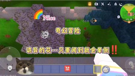 dnd手机文字游戏-DND 手机文字游戏：沉浸式体验奇幻世界的冒险之旅