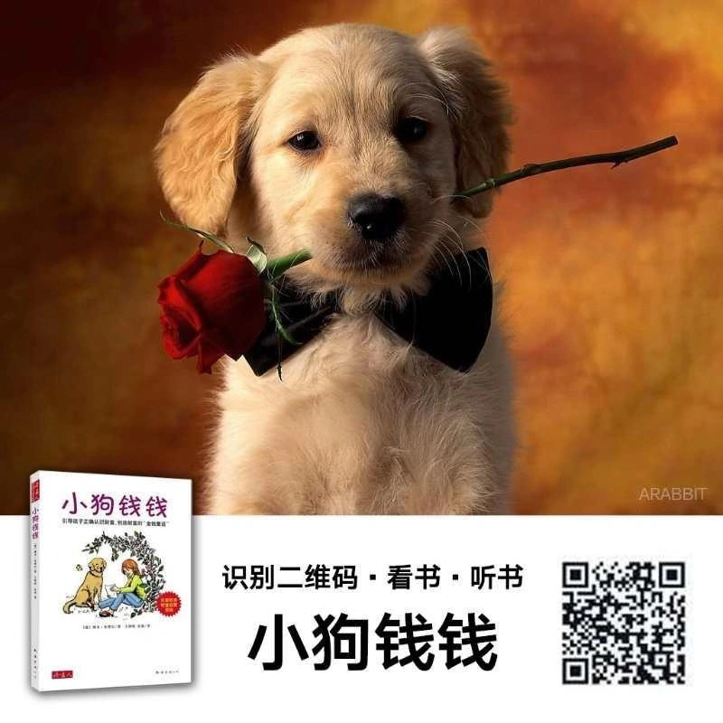 表单验证js代码简单解释_表单验证js代码_js表单验证