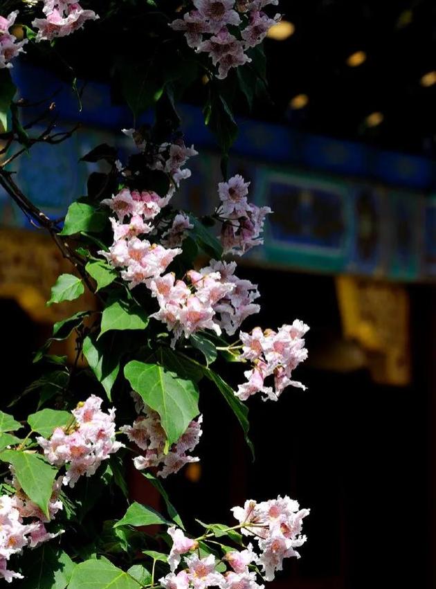 字符串截取字符串_字符串中截取子串_截取字符串中的一部分