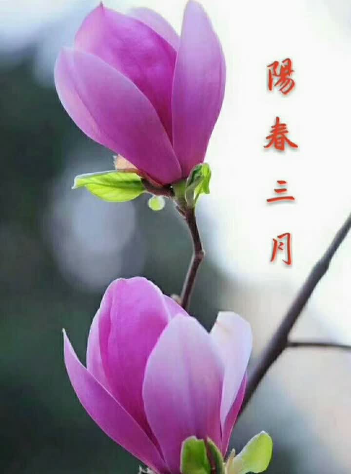 约定_约定歌词_约定协议书