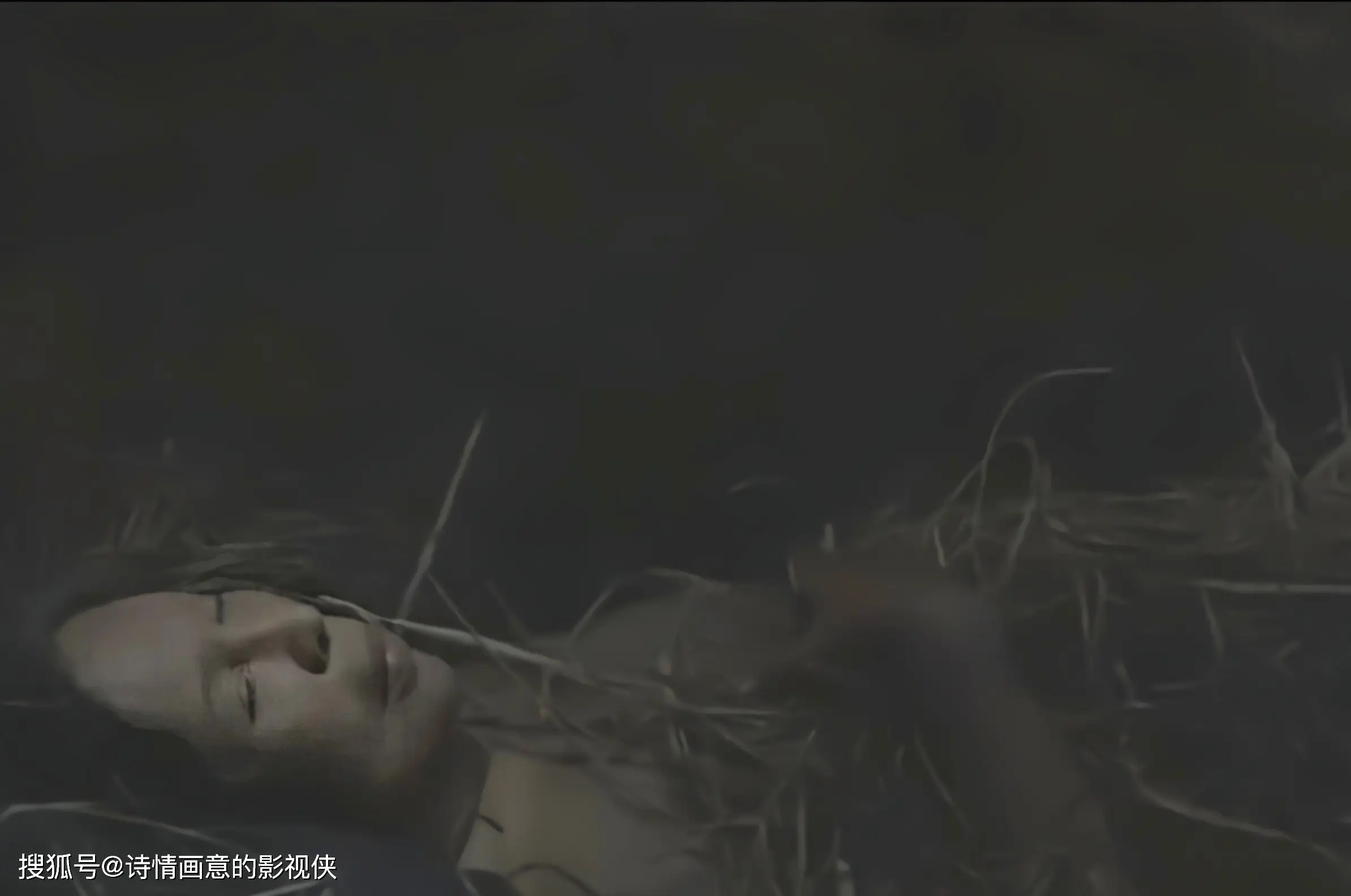 吸血鬼同盟那集高能_吸血鬼同盟百度百科_吸血鬼同盟