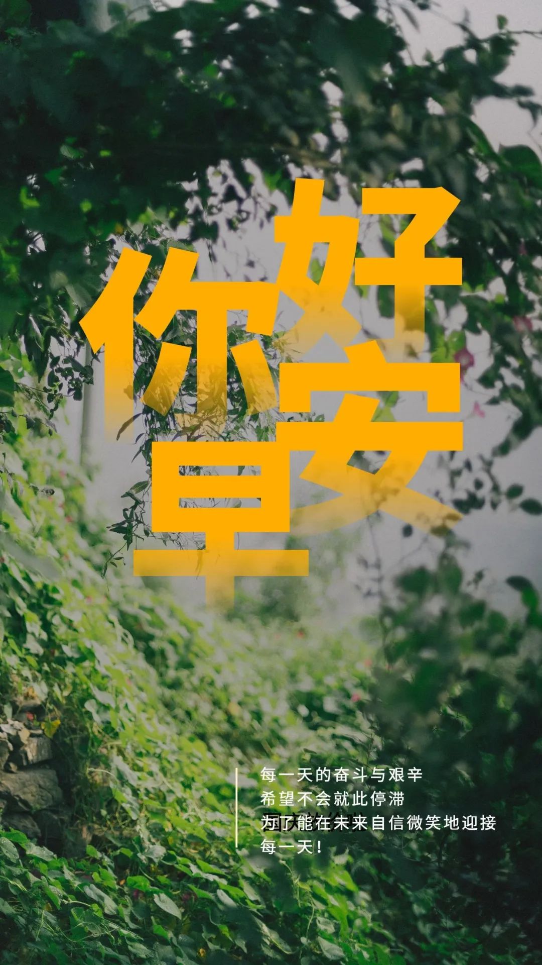 卡塔丽娜丹尼斯裸露_卡塔丽娜丹尼斯种子_卡塔丽娜