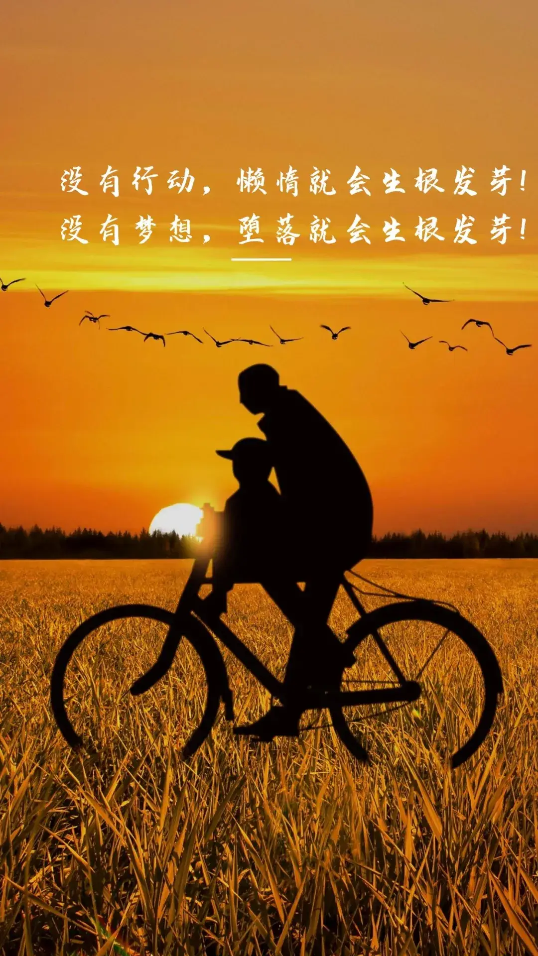卡塔丽娜丹尼斯种子_卡塔丽娜丹尼斯裸露_卡塔丽娜