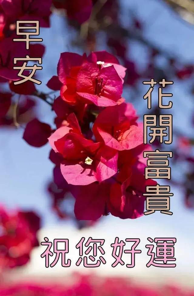 3月28日_月嫂_月字旁的字有哪些