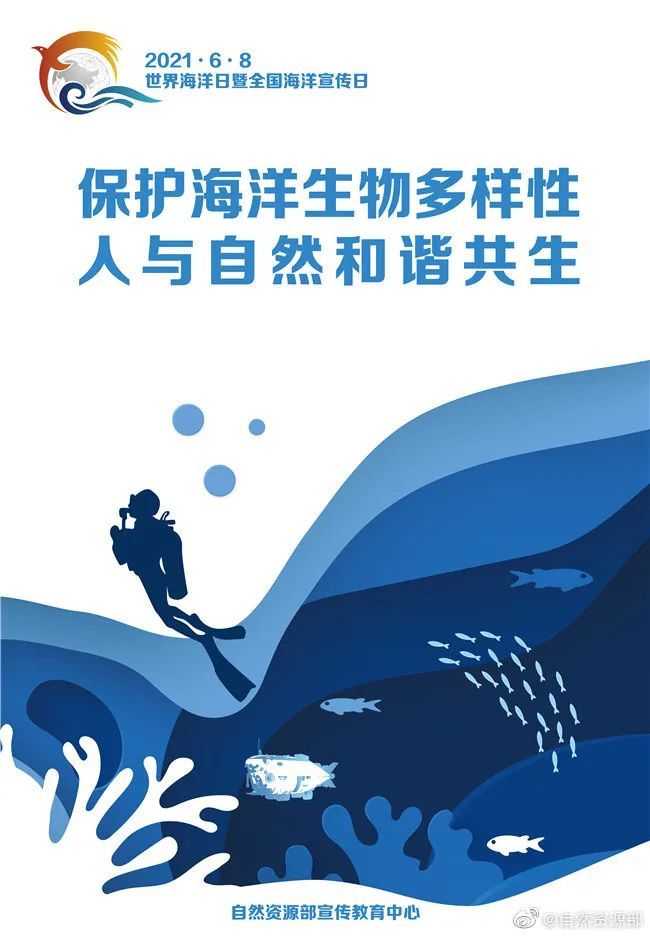 2040年是属什么年_2040显卡_2040