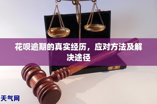 花呗是什么_花是茉莉花对联_花是由什么组成的