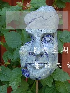 花是茉莉花对联_花呗是什么_花是由什么组成的