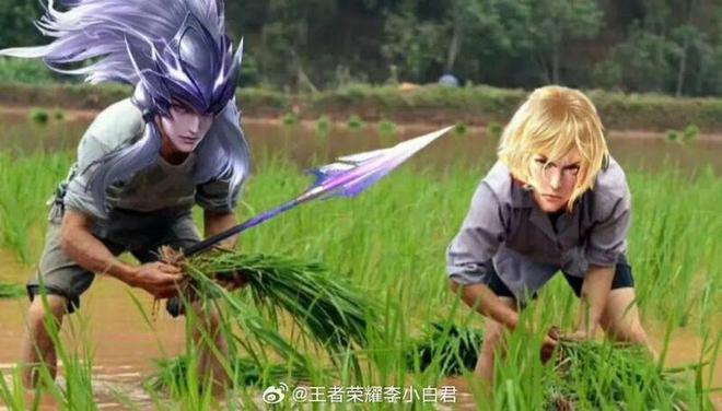 dnf跨区分布图_dnf跨区分部_dnf跨区分布图2021