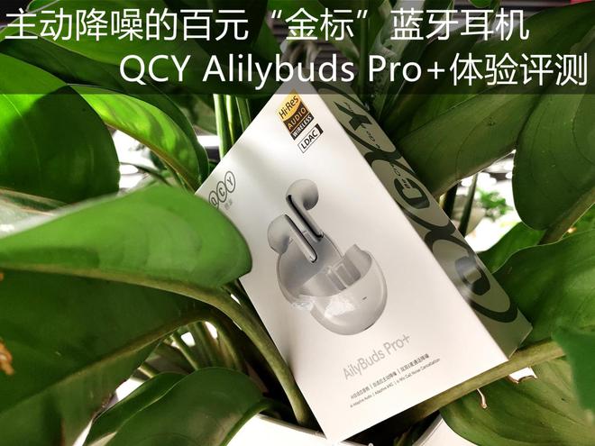 耳麦手机游戏_玩游戏的耳麦_耳麦手机游戏怎么玩