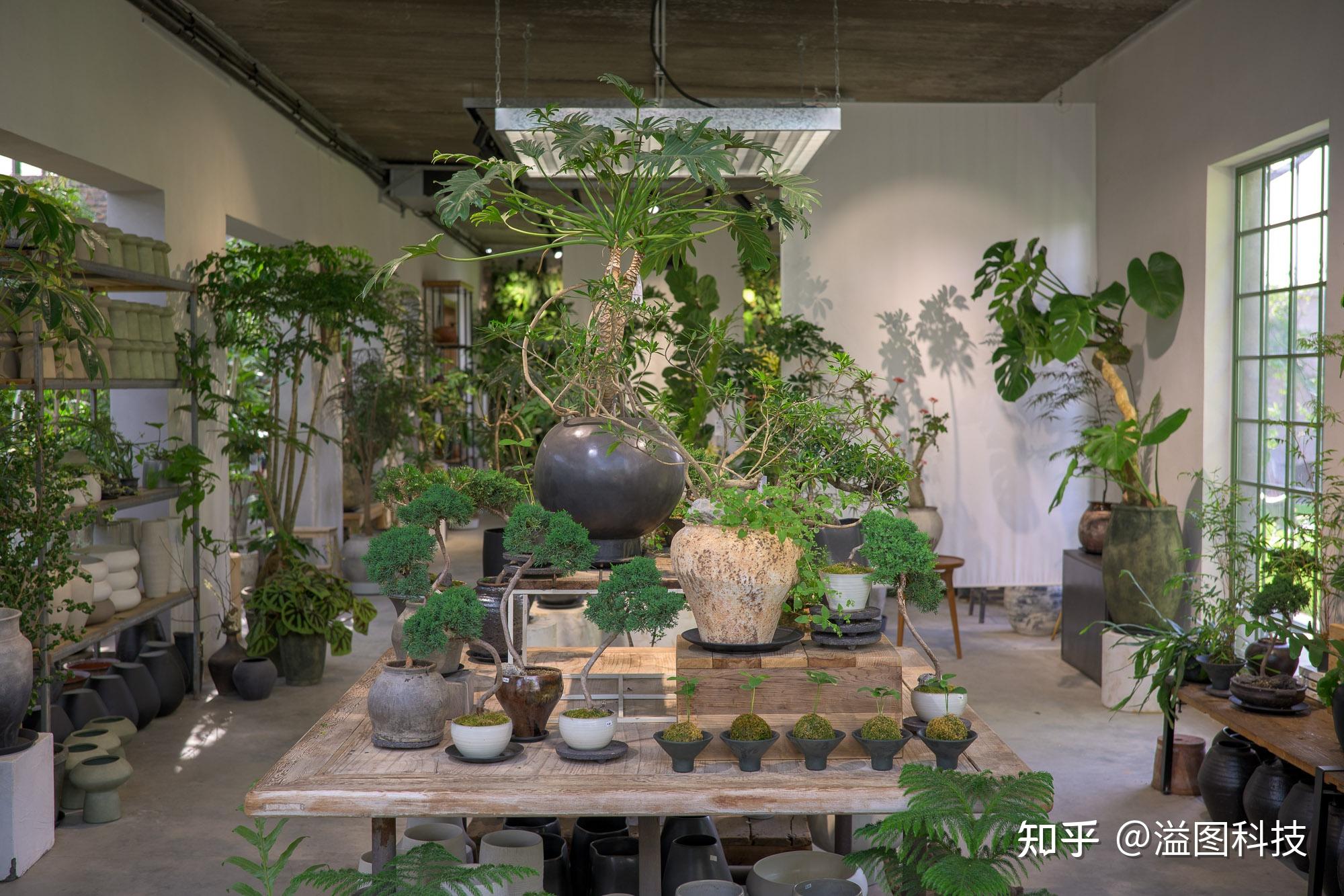 放置游戏手机推荐平价游戏_手机放置游戏排行_放置类手机游戏