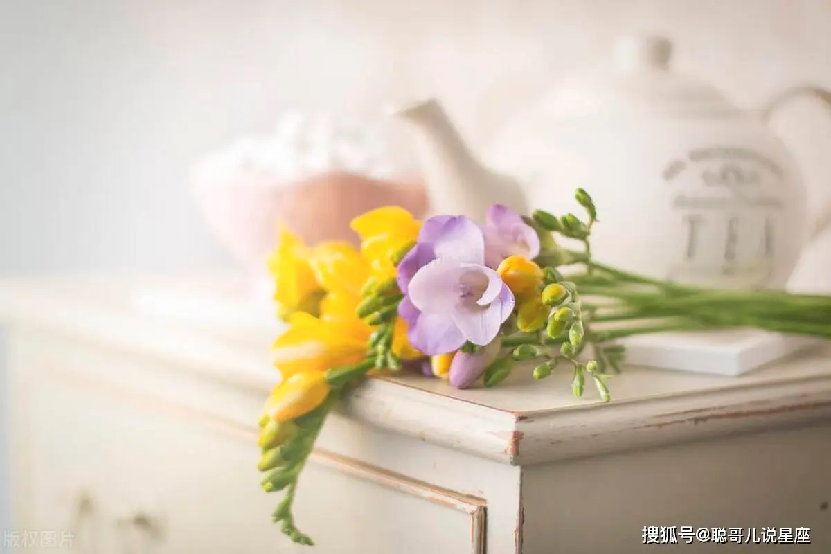 栗山未来_栗山绿_栗山