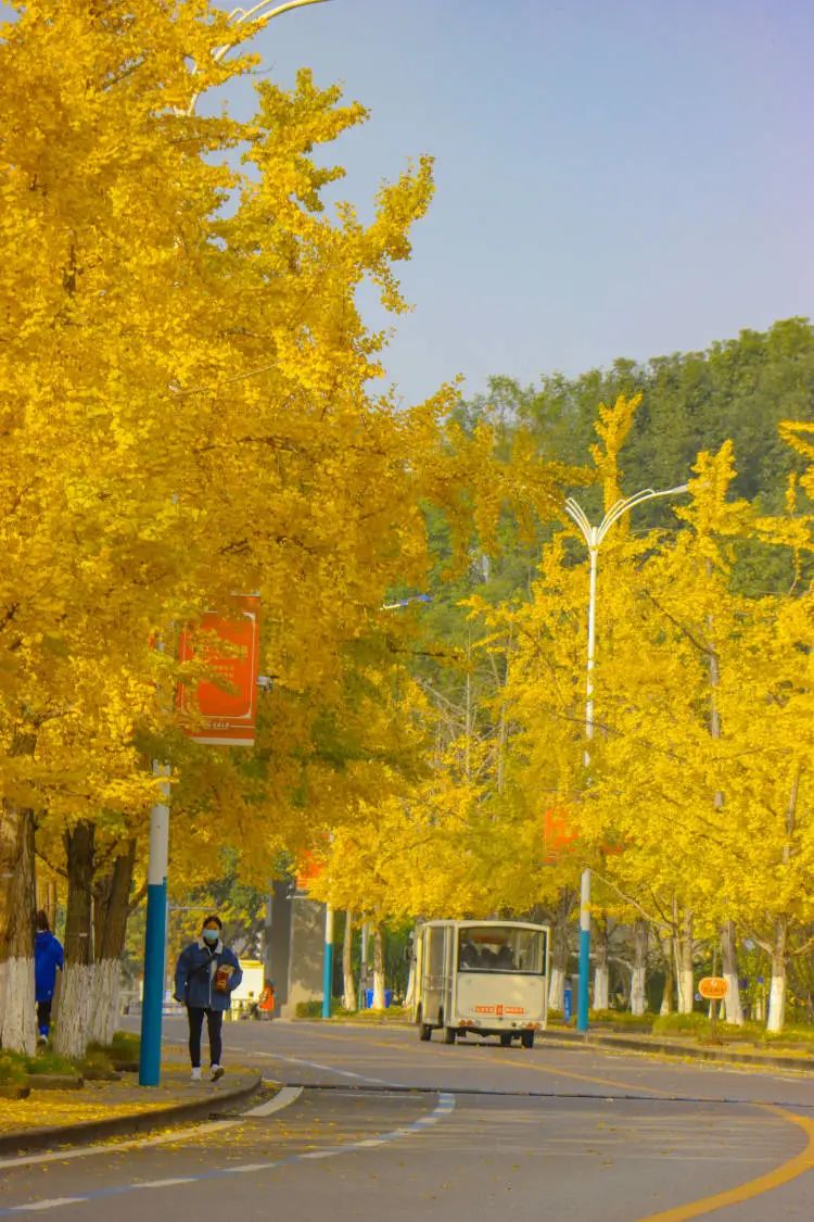 栗山_栗山未来_栗山绿