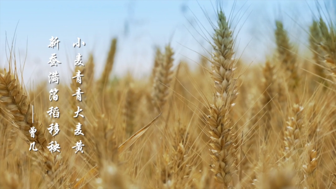 有小满为什么没有大满_有小满满没大满的成语_小满大满是什么意思小满未满