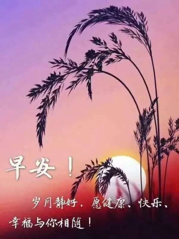 月灵_灵月塔罗_灵月名字的含义是什么
