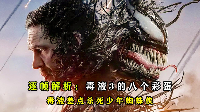 妃蜘蛛_妃蜘蛛_妃蜘蛛