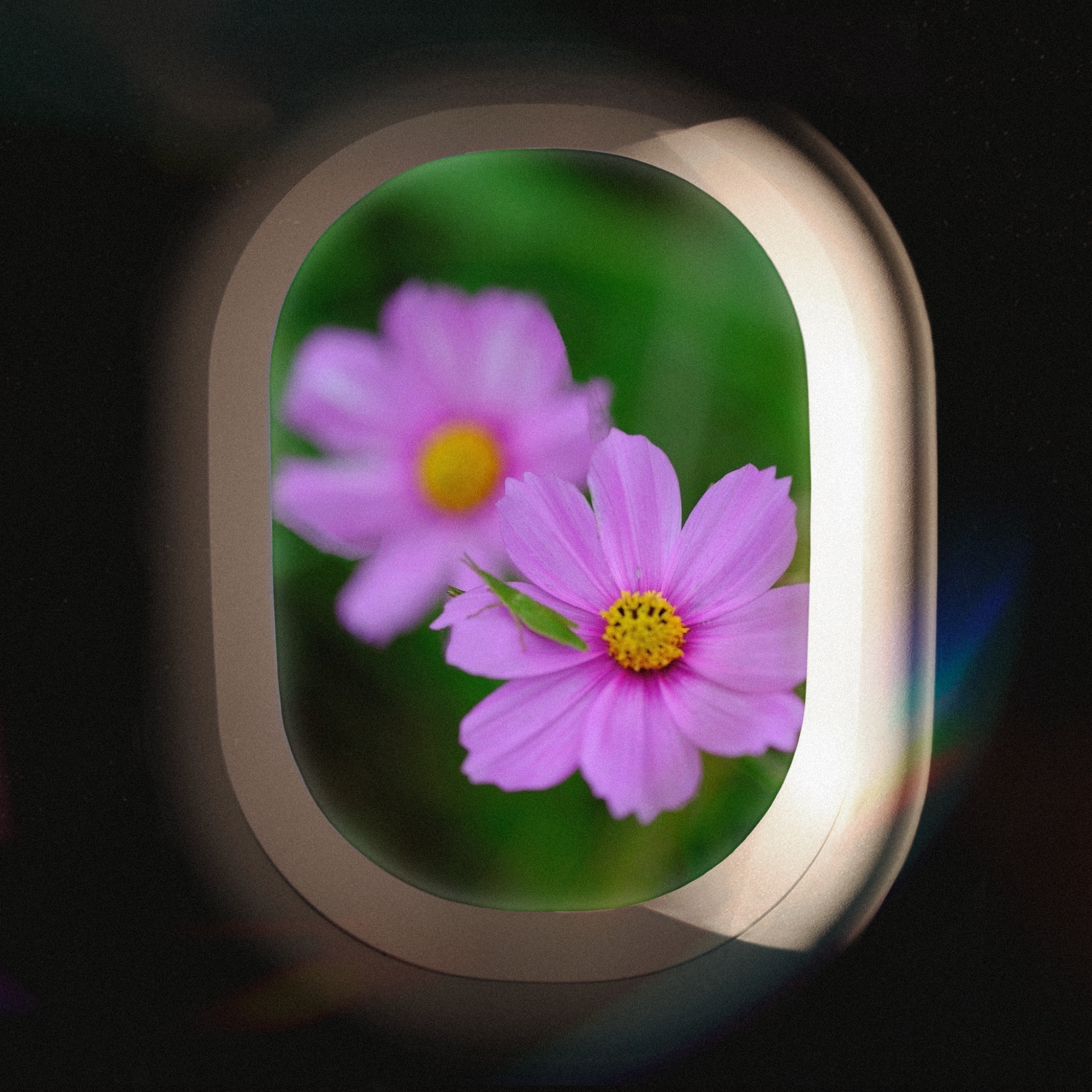 蓝原芽衣_蓝原芽衣_蓝原芽衣
