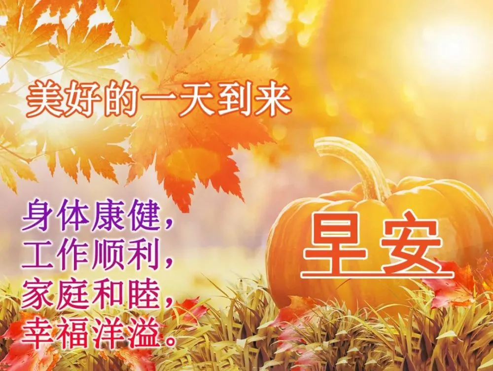 合约机欠费会上征信吗_合约机是什么意思_合约机