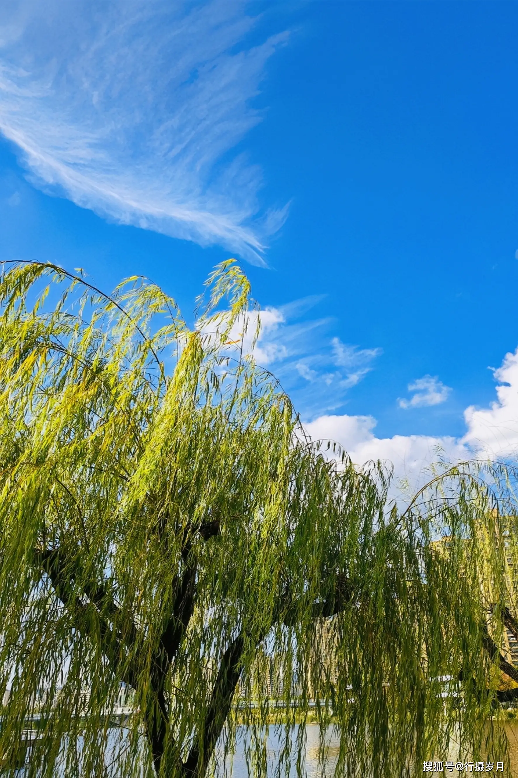 朝香果林_朝香果林_朝香果林