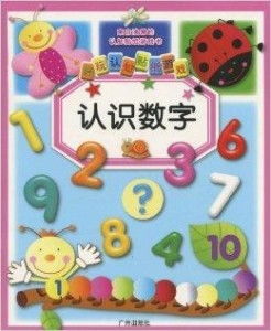 是数字游戏,探索智慧与乐趣的数字世界