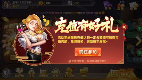 闲庄游戏,揭秘独特玩法与策略技巧
