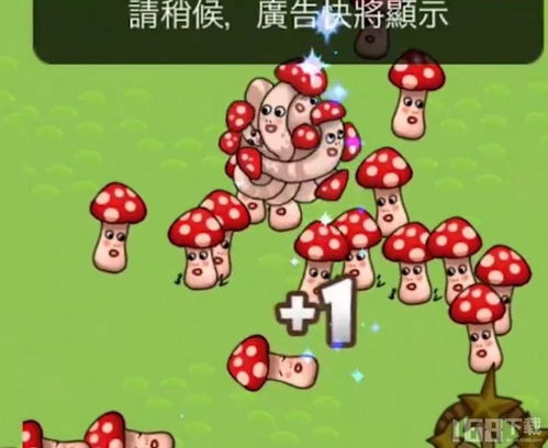 蘑菇游戏和,生态循环与策略布局的奇幻之旅