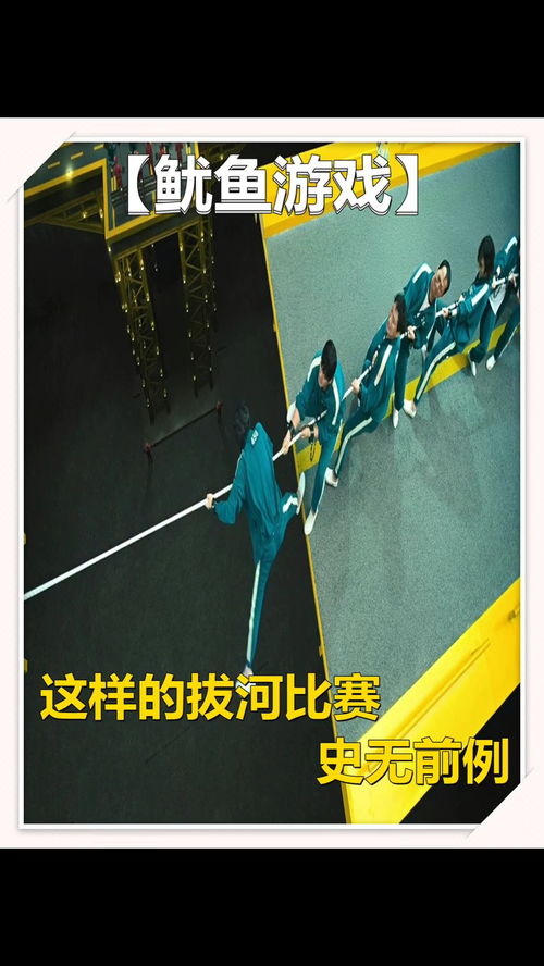 鱿鱼影游戏,揭示人性深渊的生存挑战