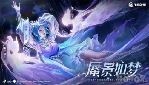王者荣耀极光辅助 