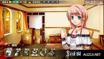少女物语游戏,沉浸式养成与冒险游戏概览
