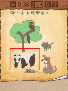 泡泡大作战游戏手机游戏 