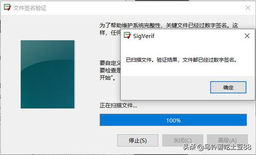 精读圣经安卓版官方版 