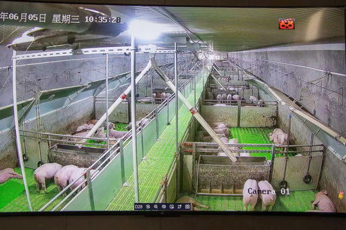 onvifer监控软件 