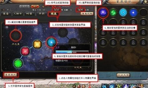 训狗教程大全 