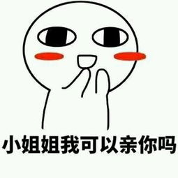宋儿表白神器 