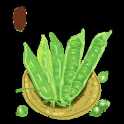 幸运星豆下载app 