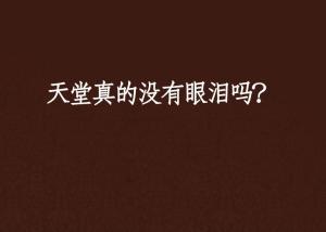 她的眼泪曾是我的光芒汉化版 